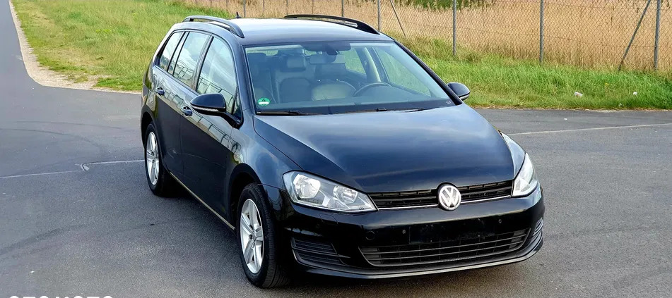 volkswagen Volkswagen Golf cena 44800 przebieg: 197000, rok produkcji 2016 z Oborniki